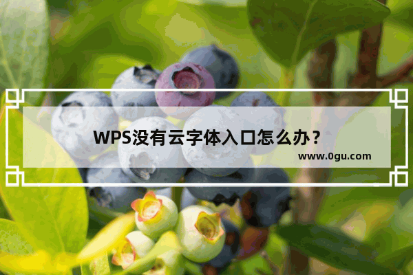 WPS没有云字体入口怎么办？