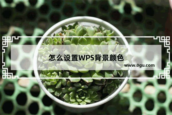 怎么设置WPS背景颜色