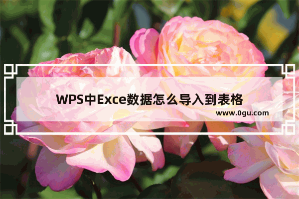 WPS中Exce数据怎么导入到表格