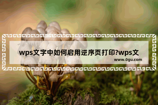 wps文字中如何启用逆序页打印?wps文字启用逆序页打印的方法教程