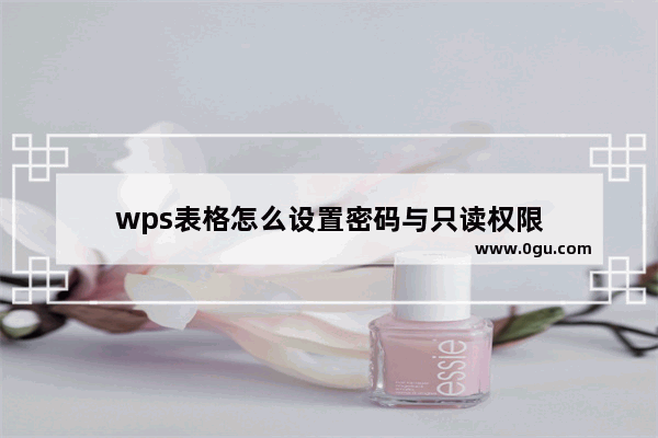 wps表格怎么设置密码与只读权限