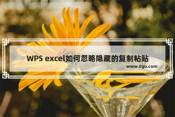 WPS excel如何忽略隐藏的复制粘贴