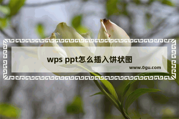 wps ppt怎么插入饼状图