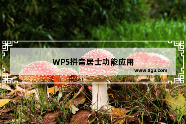 WPS拼音居士功能应用