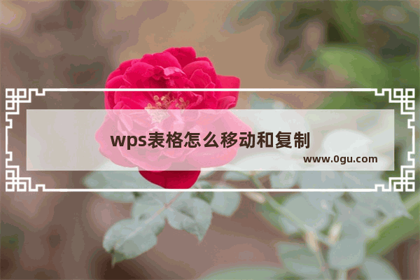 wps表格怎么移动和复制