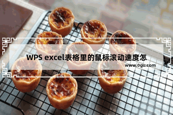 WPS excel表格里的鼠标滚动速度怎么调整