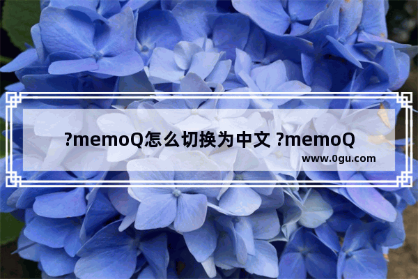 ?memoQ怎么切换为中文 ?memoQ设置成中文的方法