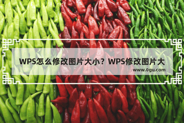 WPS怎么修改图片大小？WPS修改图片大小的方法