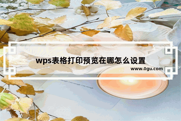 wps表格打印预览在哪怎么设置