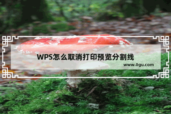 WPS怎么取消打印预览分割线