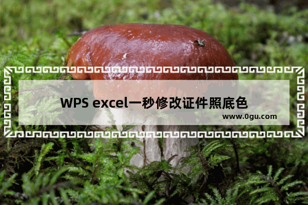 WPS excel一秒修改证件照底色