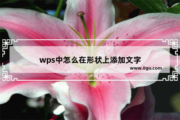 wps中怎么在形状上添加文字