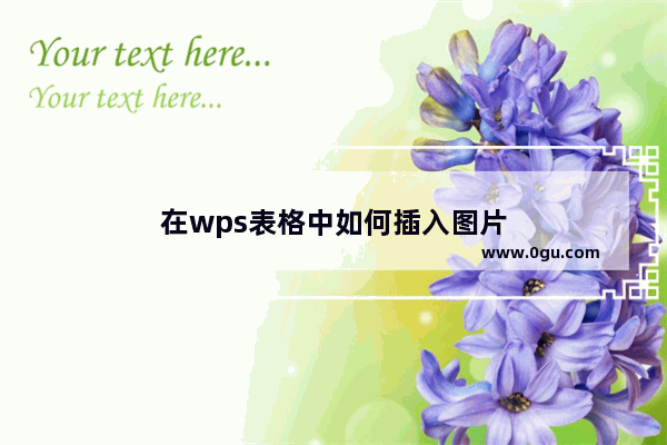 在wps表格中如何插入图片