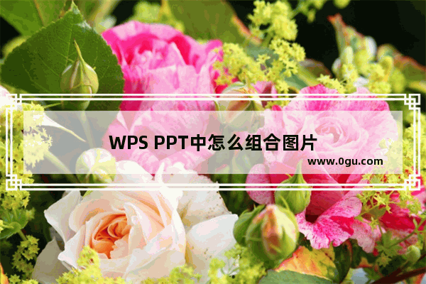 WPS PPT中怎么组合图片