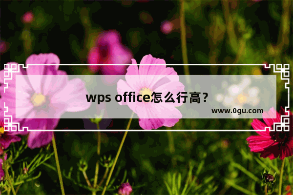 wps office怎么行高？