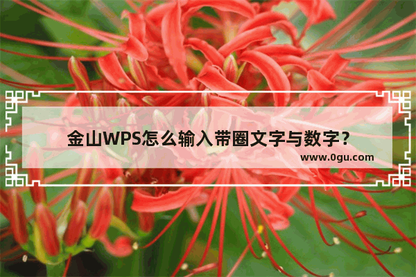 金山WPS怎么输入带圈文字与数字？