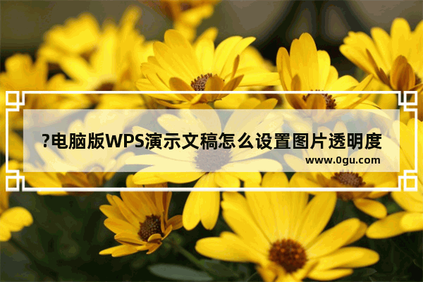 ?电脑版WPS演示文稿怎么设置图片透明度