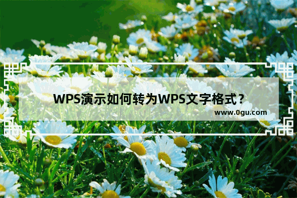 WPS演示如何转为WPS文字格式？