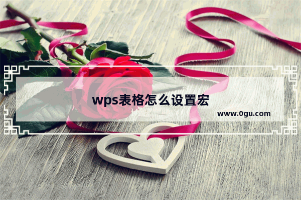 wps表格怎么设置宏