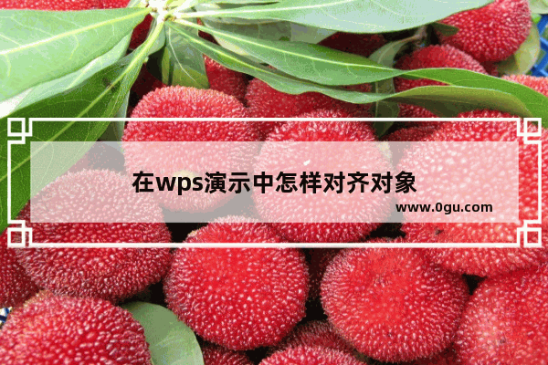 在wps演示中怎样对齐对象