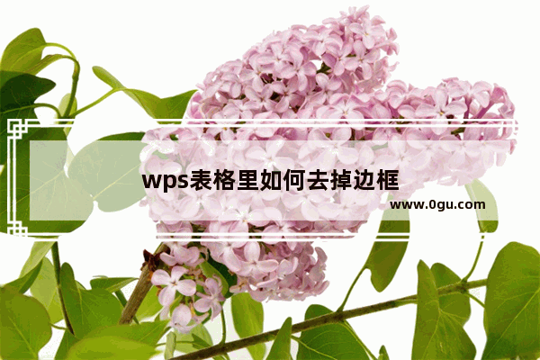 wps表格里如何去掉边框