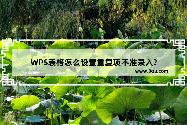 WPS表格怎么设置重复项不准录入?