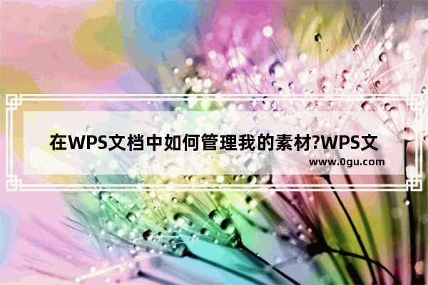 在WPS文档中如何管理我的素材?WPS文档管理我的素材的方法教程