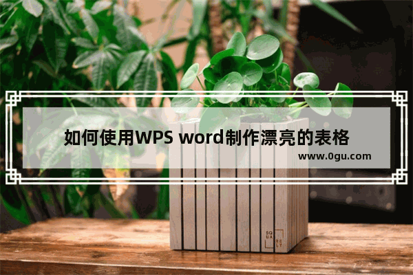 如何使用WPS word制作漂亮的表格