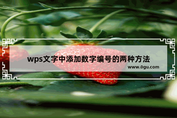 wps文字中添加数字编号的两种方法