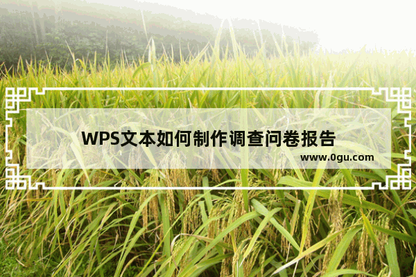 WPS文本如何制作调查问卷报告