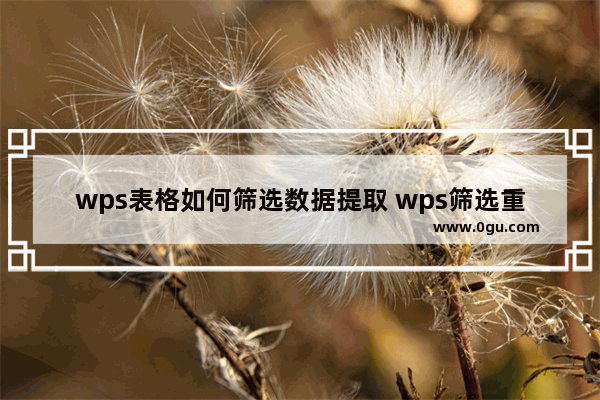 wps表格如何筛选数据提取 wps筛选重复数据并提取教程