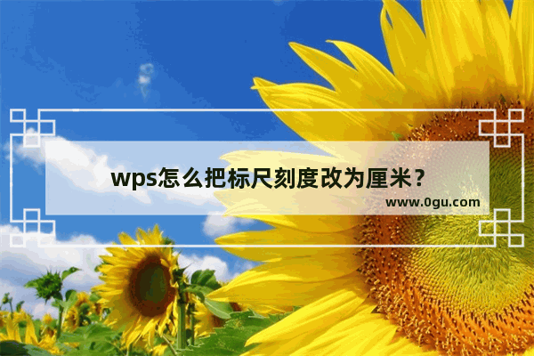 wps怎么把标尺刻度改为厘米？