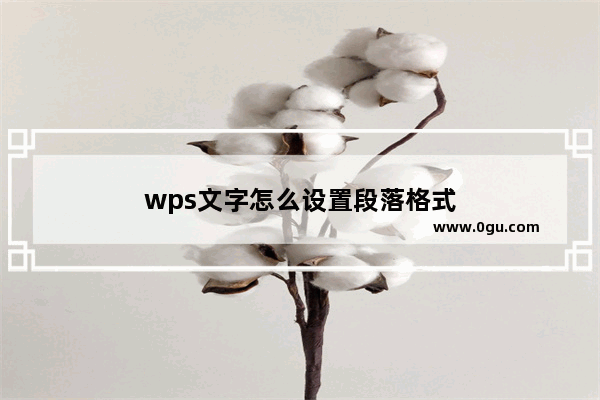 wps文字怎么设置段落格式