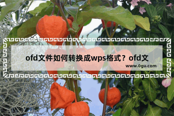 ofd文件如何转换成wps格式？ofd文件怎么转换成wps？