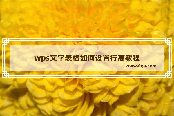 wps文字表格如何设置行高教程