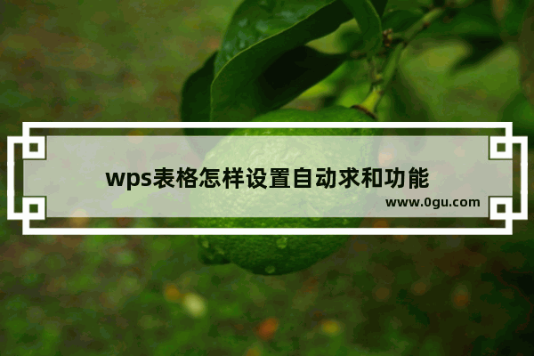 wps表格怎样设置自动求和功能