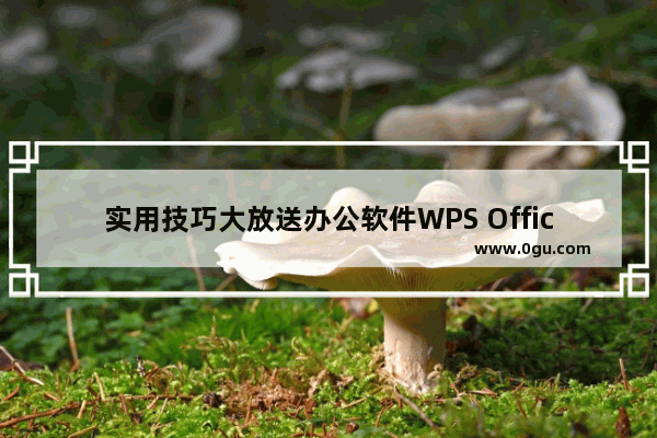 实用技巧大放送办公软件WPS Office 2007