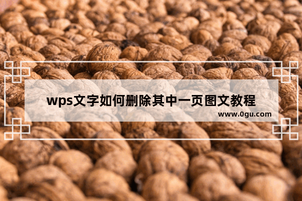 wps文字如何删除其中一页图文教程