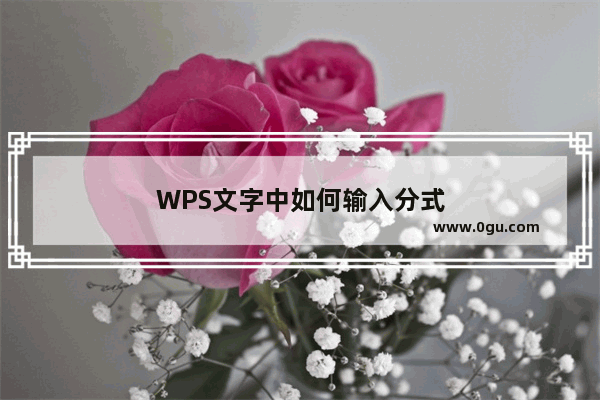 WPS文字中如何输入分式