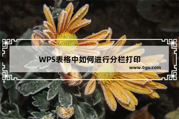 WPS表格中如何进行分栏打印