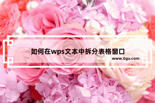 如何在wps文本中拆分表格窗口