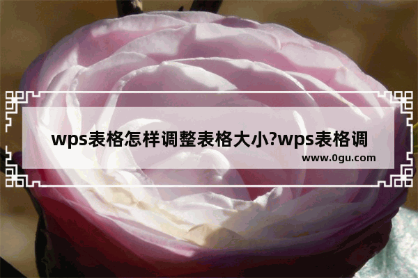 wps表格怎样调整表格大小?wps表格调整表格大小操作教程