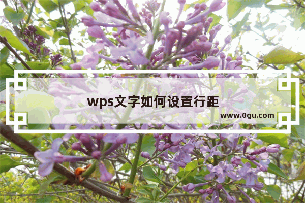 wps文字如何设置行距