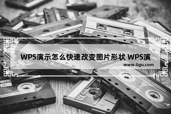 WPS演示怎么快速改变图片形状 WPS演示快速改变图片形状的方法