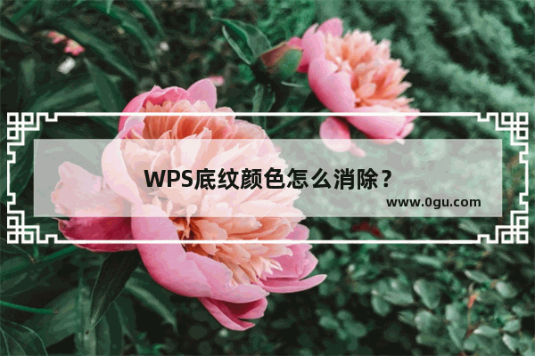 WPS底纹颜色怎么消除？