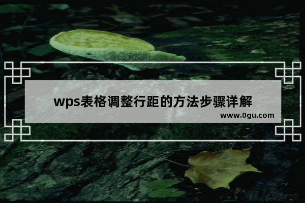 wps表格调整行距的方法步骤详解