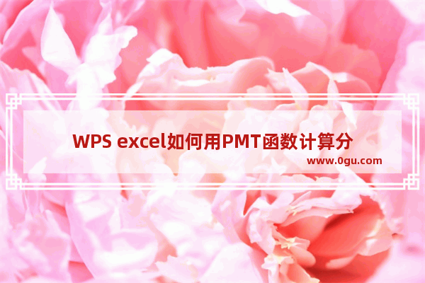 WPS excel如何用PMT函数计算分期还款每期额度