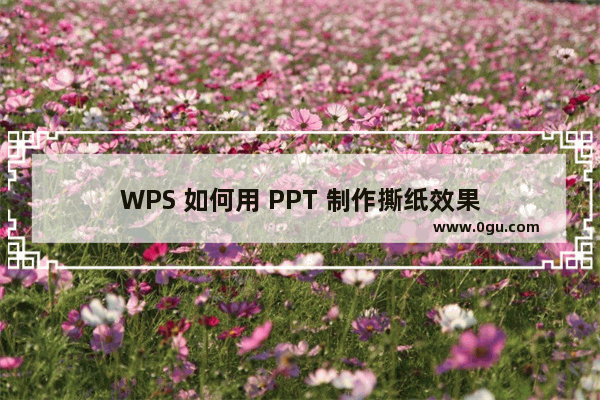 WPS 如何用 PPT 制作撕纸效果