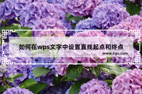 如何在wps文字中设置直线起点和终点