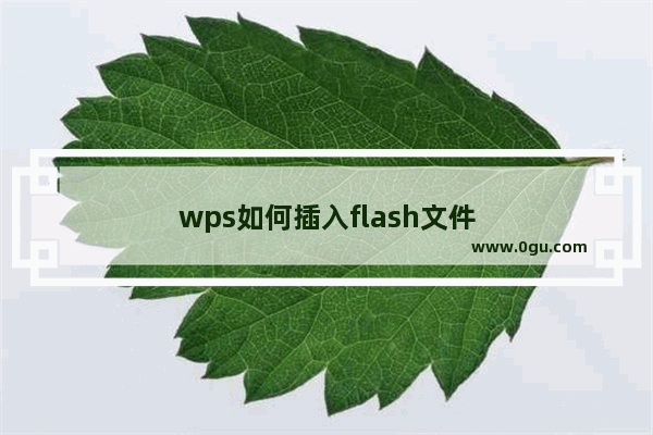 wps如何插入flash文件